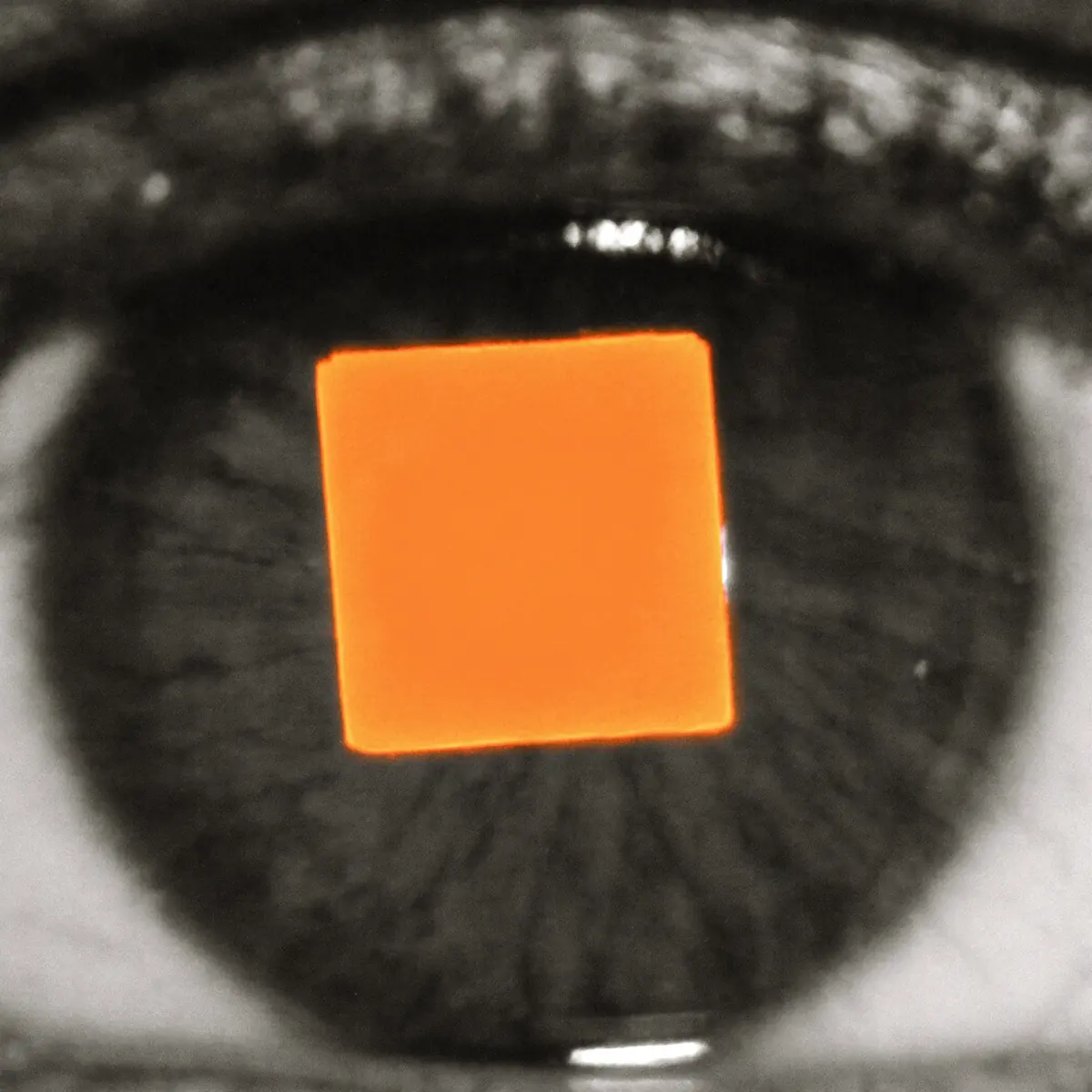 primo piano di un occhio in bianco e nero con un quadrato arancio riflesso nella pupilla